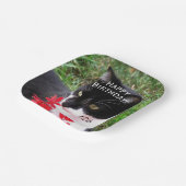 庭素晴らしに現れるタキシード猫 ペーパープレート (傾斜あり)