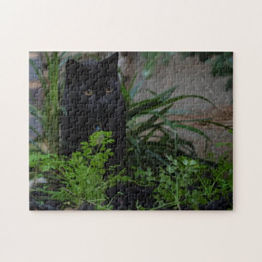 庭遊に黒猫252点 ジグソーパズル (横)