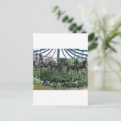 庭馬 ポストカード (スタンド正面)