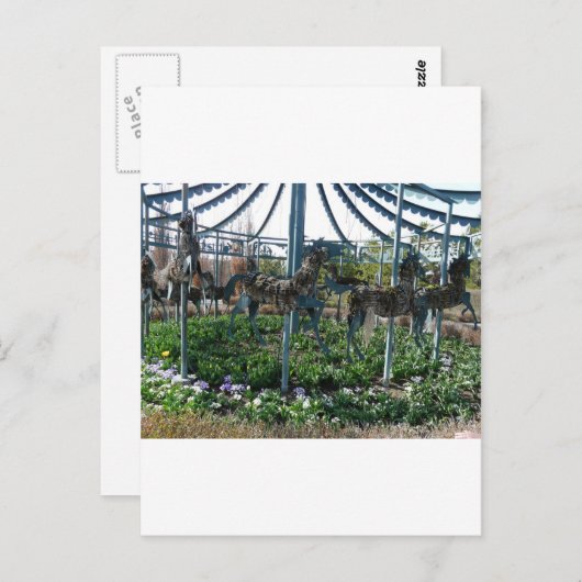 庭馬 ポストカード (正面/裏面)