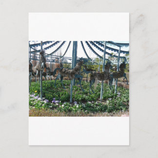 庭馬 ポストカード