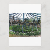 庭馬 ポストカード (正面)