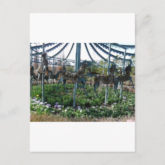 庭馬 ポストカード (正面)