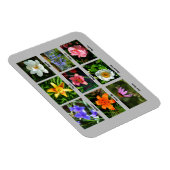 庭鮮やか花 マグネット (右側)