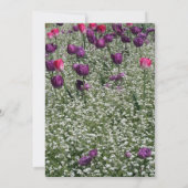 庭1チューリップス追悼式発表 招待状 (裏面)