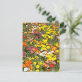 庭 ポストカード (スタンド正面)