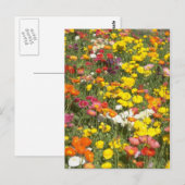 庭 ポストカード (正面/裏面)