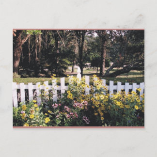 庭 ポストカード