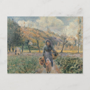 庭 ポストカード