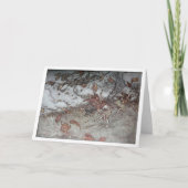 庭(中ブランク)の子供 カード (正面)