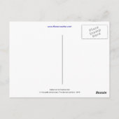 廃れた靴下はがき ポストカード (裏面)