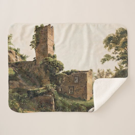 廃墟のある風景(古代の廃墟建物) シェルパブランケット (正面(横))
