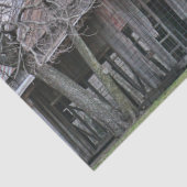 廃墟の中で木々を取り囲む木造の納屋 薄葉紙 (詳細)