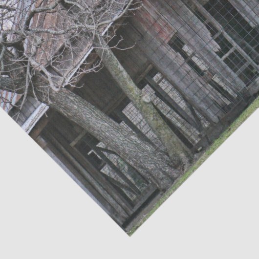 廃墟の中で木々を取り囲む木造の納屋 薄葉紙 (詳細)