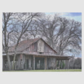 廃墟の中で木々を取り囲む木造の納屋 薄葉紙 (正面)