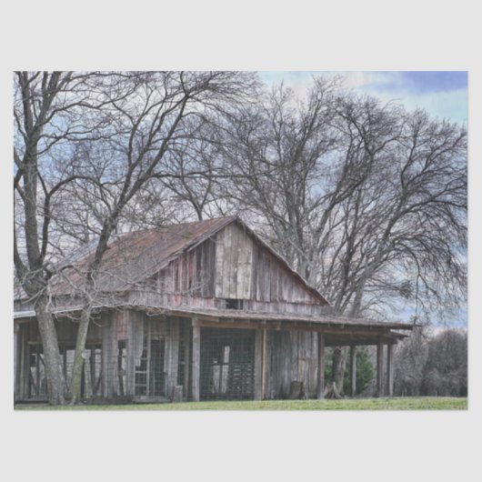 廃墟の中で木々を取り囲む木造の納屋 薄葉紙 (正面)