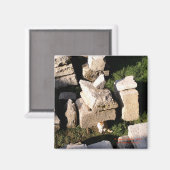 廃墟の中の猫 マグネット (正面/裏面)