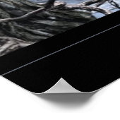 廃墟 ポスター (角)