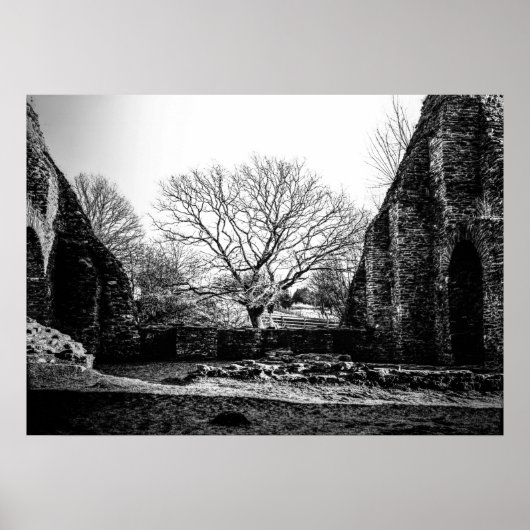 廃墟 ポスター (正面)