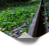 廃林 ポスター (角)