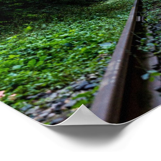 廃林 ポスター (角)