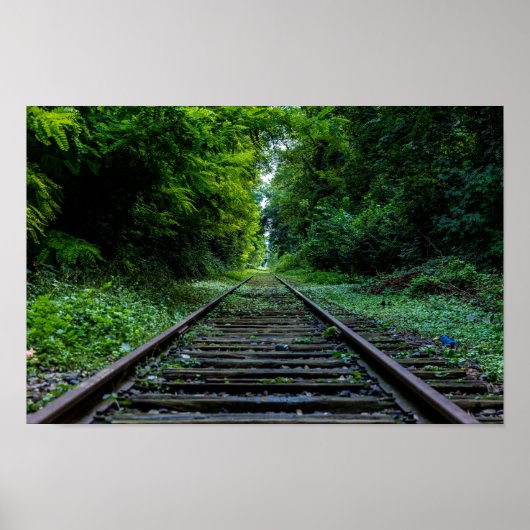 廃林 ポスター (正面)