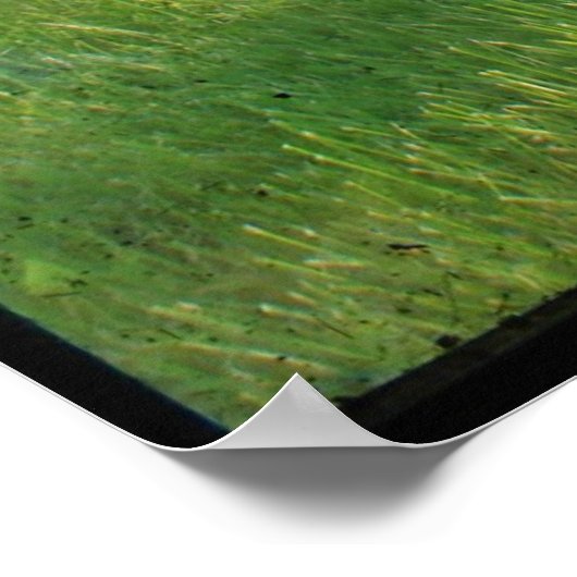 廃棄(TOMBSTONE) TTV ポスター (角)