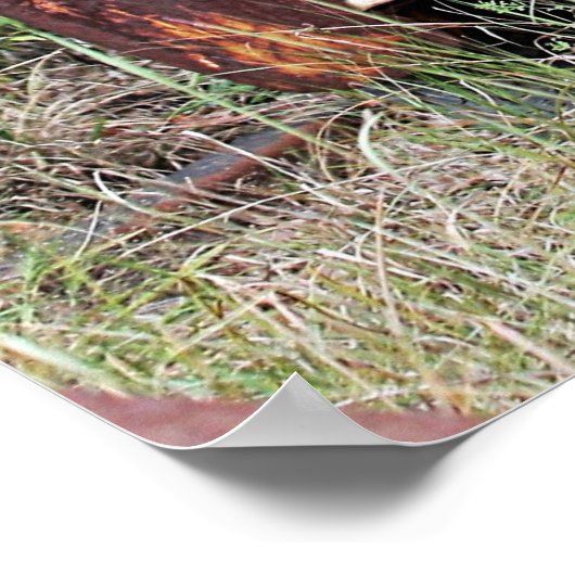 廃車のポスター ポスター (角)