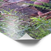 廃車 フォトプリント            (角)