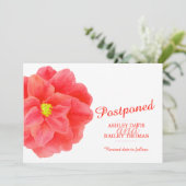 延期の赤い椿の結婚式　キャンセル 案内状 (スタンド正面)