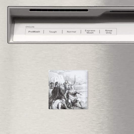 廷臣たちのお世辞を証明するカヌート マグネット (インサイチュ (食洗機))