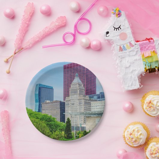 建物インシカゴ ペーパープレート (パーティー)