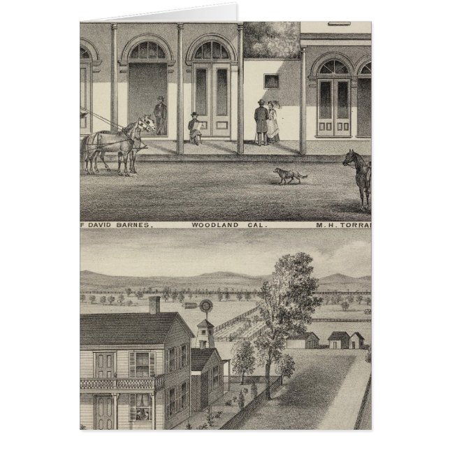 建物ズウッドランド (正面)