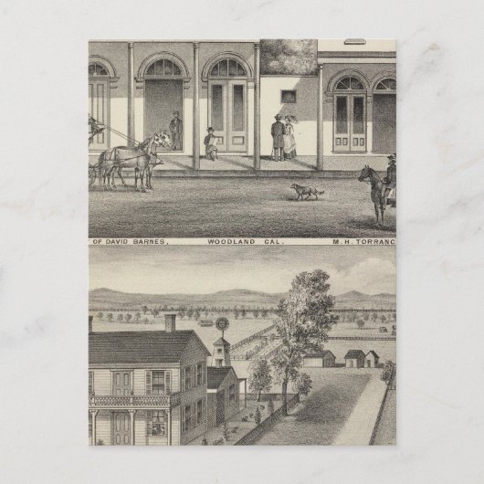 建物ズウッドランド ポストカード (正面)