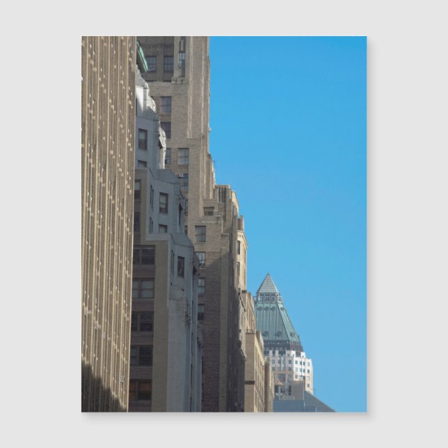 建物ファセズマンハッタンニューヨークシティUSA (正面)