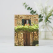 建物、広場の前の鉢植えな植物 ポストカード (スタンド正面)