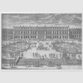 建築の不動産の分離ティッシュペーパー 薄葉紙