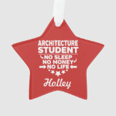 建築の学生No LifeまたはMoney オーナメント (裏面)