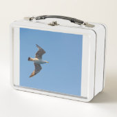 弁当のカモメ メタルランチボックス (正面)