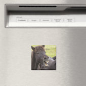 式を持つアイスランおもしろいドの馬 マグネット (インサイチュ (食洗機))