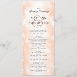 式結婚プログラムバラ金ゴールドきらめく灯 プログラム