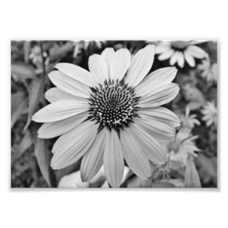 式5x7写真プリント フォトプリント           