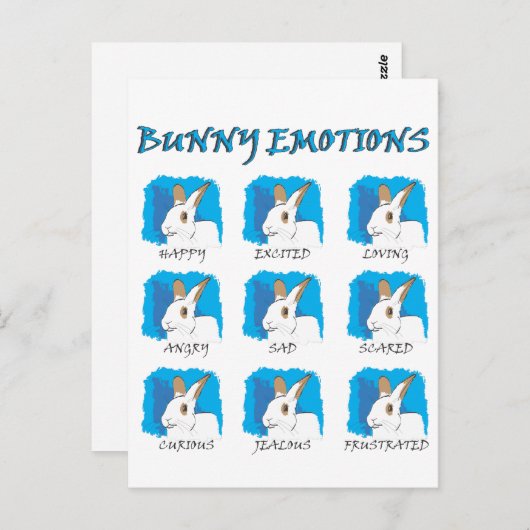 式 ポストカード (正面/裏面)