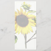 弓のメニューを結婚取るヒマワリ メニュー (裏面)