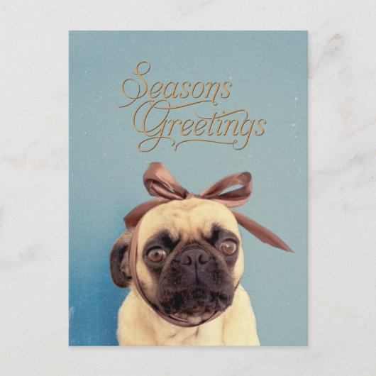 弓を持つLola ポストカード (正面)