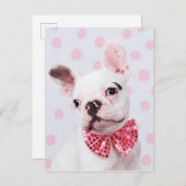 弓タイフランスの付きブルドッグ ポストカード (正面/裏面)