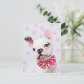 弓タイフランスの付きブルドッグ ポストカード (スタンド正面)