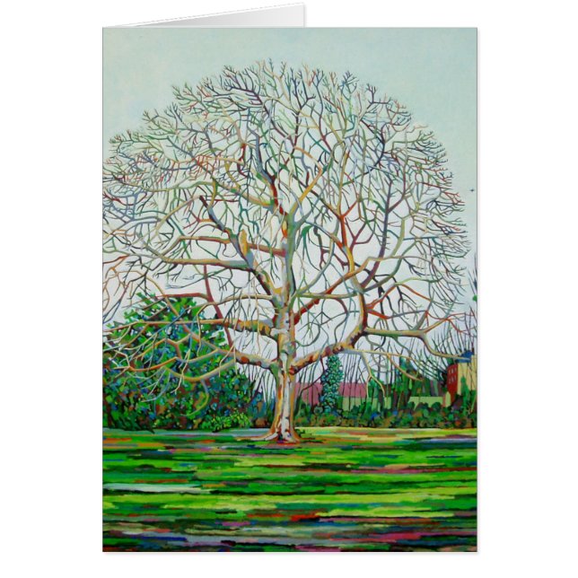 弓木の冬 (正面)