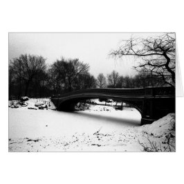 弓橋冬セントラル・パークNYC