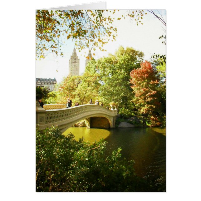 弓橋、セントラル・パークの夏の終わり、NYC (正面)